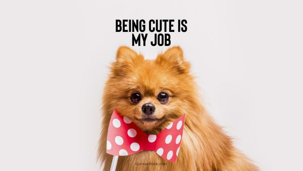 Memes Quote - Being cute is my job. Unknown Authors