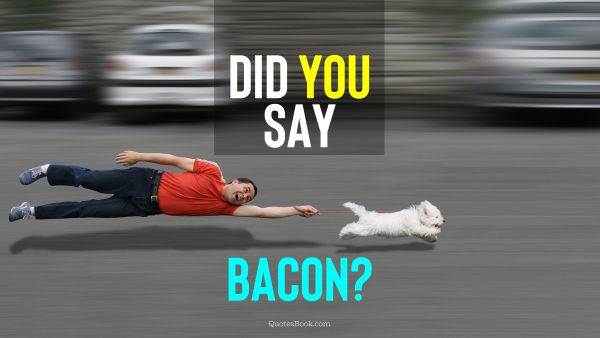 Memes Quote - Did you say bacon?. Unknown Authors