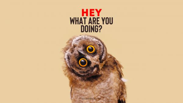 Memes Quote - Hey what are you doing?. Unknown Authors