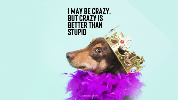 Memes Quote - I may be crazy, but crazy is better than stupid. Unknown Authors