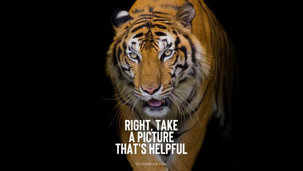 Memes Quote - Right, take a picture that's helpful. Unknown Authors