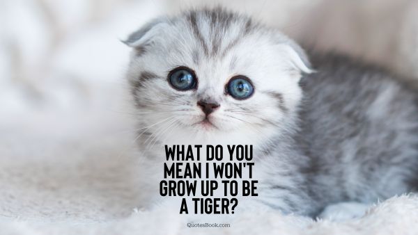 Memes Quote - What do you mean I won't grow up to be a tiger?. Unknown Authors