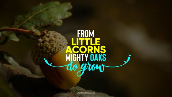 Wisdom Quote - From little acorns mighty oaks do grow. Unknown Authors