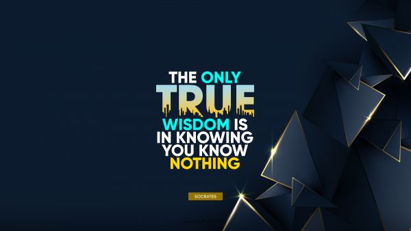 Wisdom Quote - The only true wisdom is in knowing you know nothing. Socrates