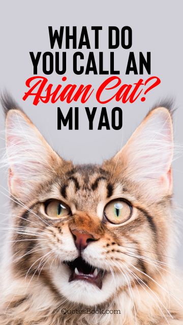 Memes Quote - What do you call an asian cat? Mi yao. Unknown Authors