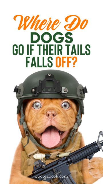 Memes Quote - Where do dogs go if their tails falls off?. Unknown Authors