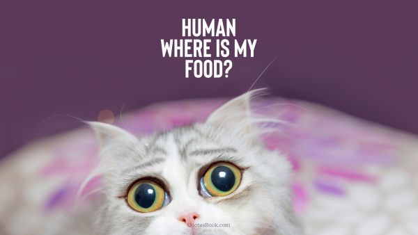 Funny Quote - Human where is my food?. Unknown Authors
