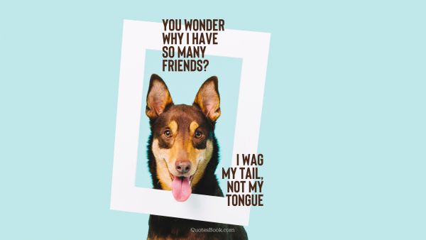 Funny Quote - You wonder why I have so many friends? I wag my tail, not my tongue. Unknown Authors