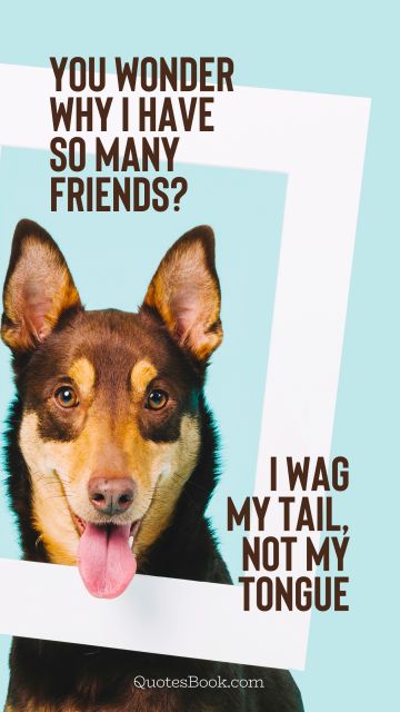 Funny Quote - You wonder why I have so many friends? I wag my tail, not my tongue. Unknown Authors
