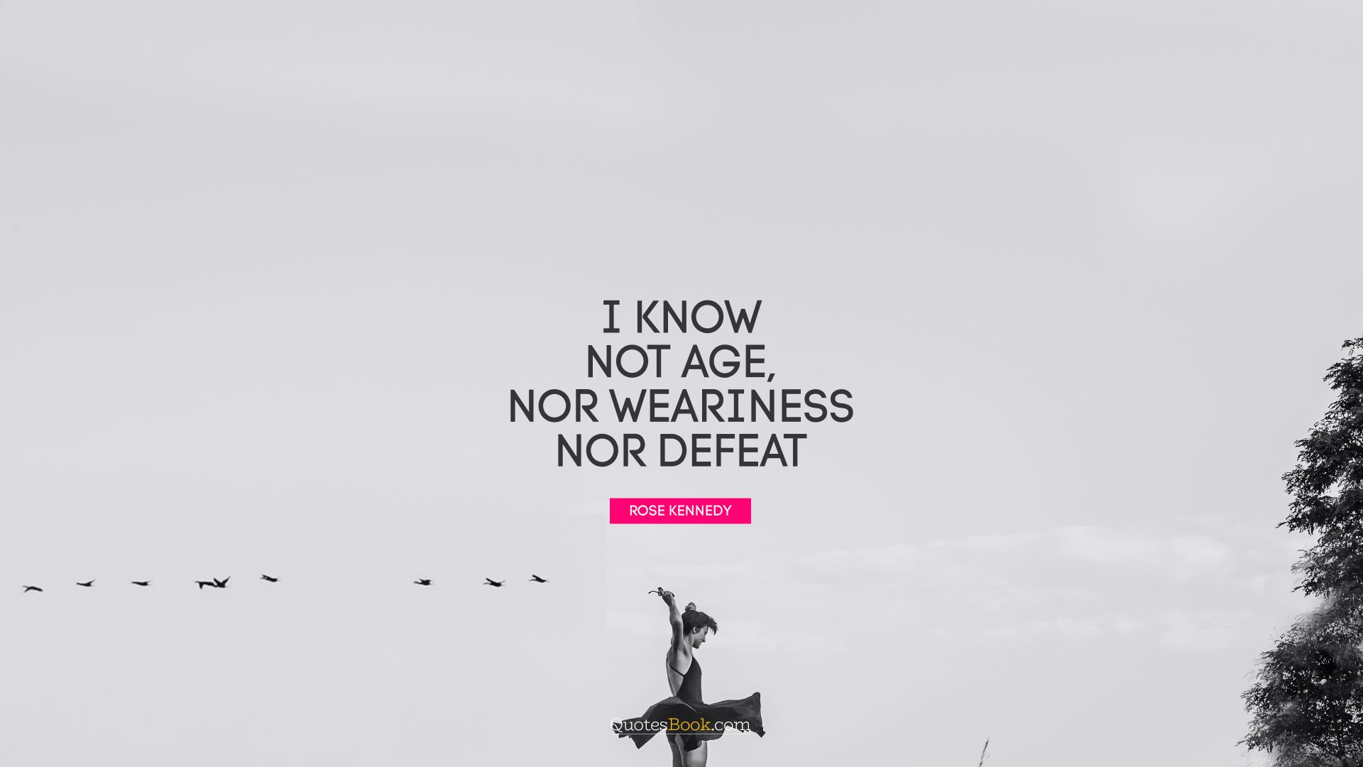 I know not age, nor weariness nor defeat. - Quote by Rose Kennedy