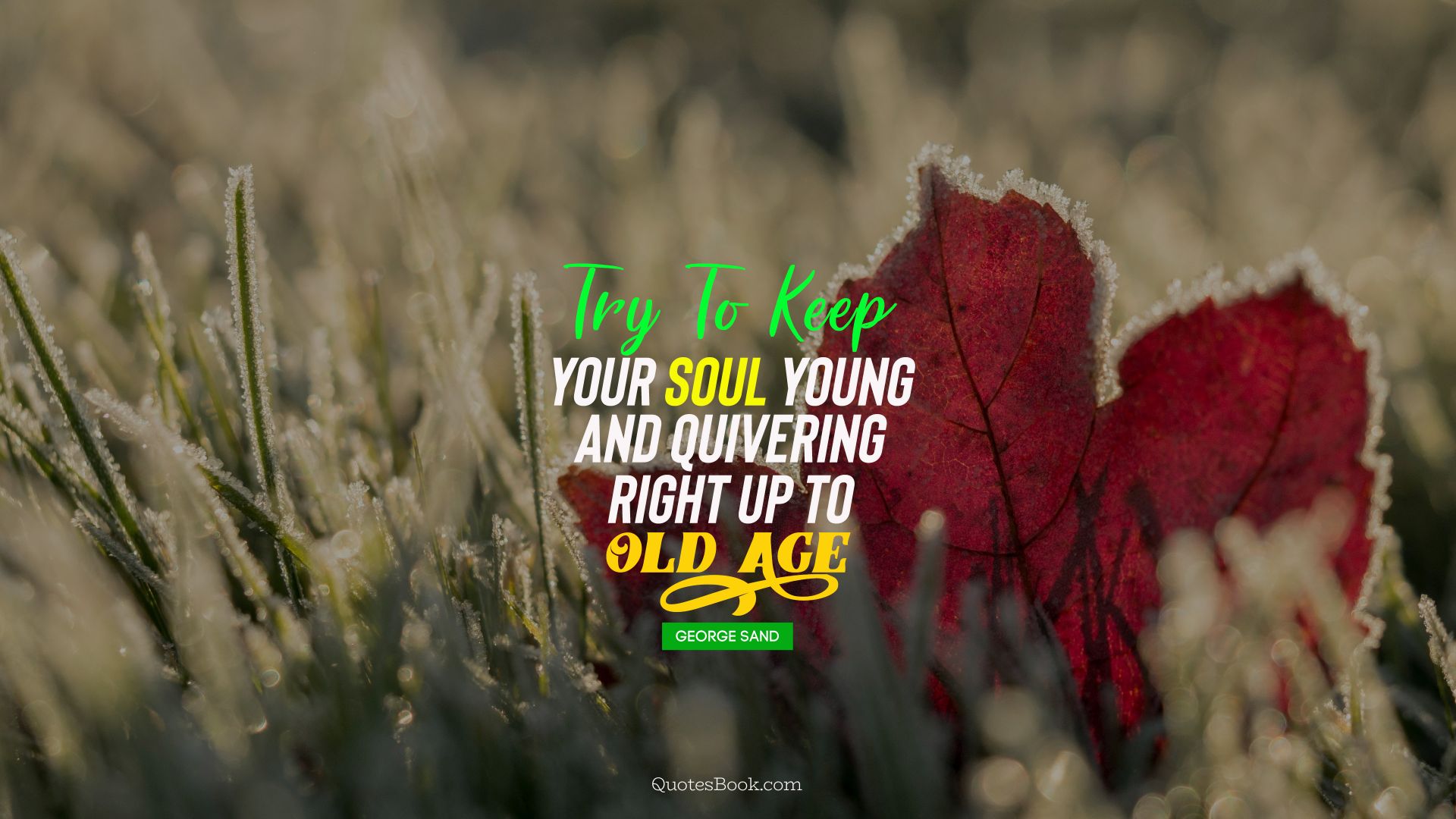 Try to keep your soul young and quivering right up to old age. - Quote by George Sand