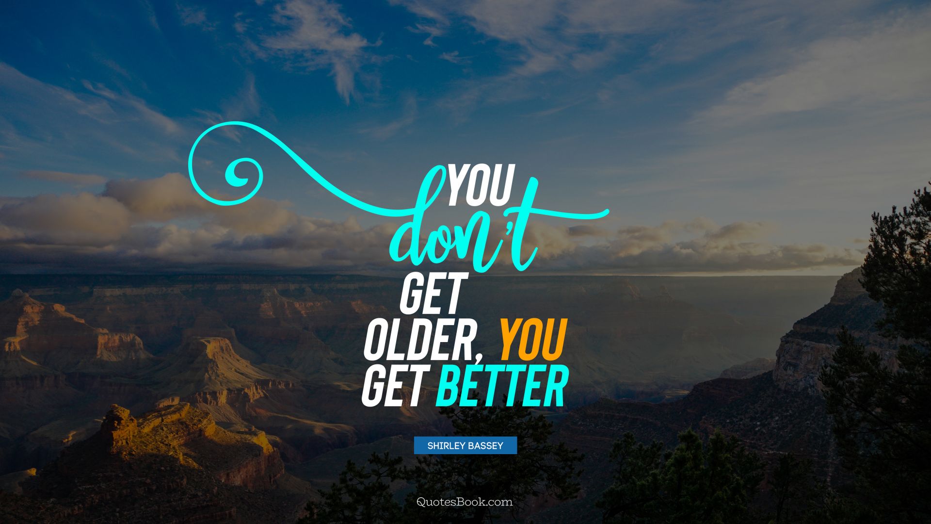 You don't get older, you get better. - Quote by Shirley Bassey