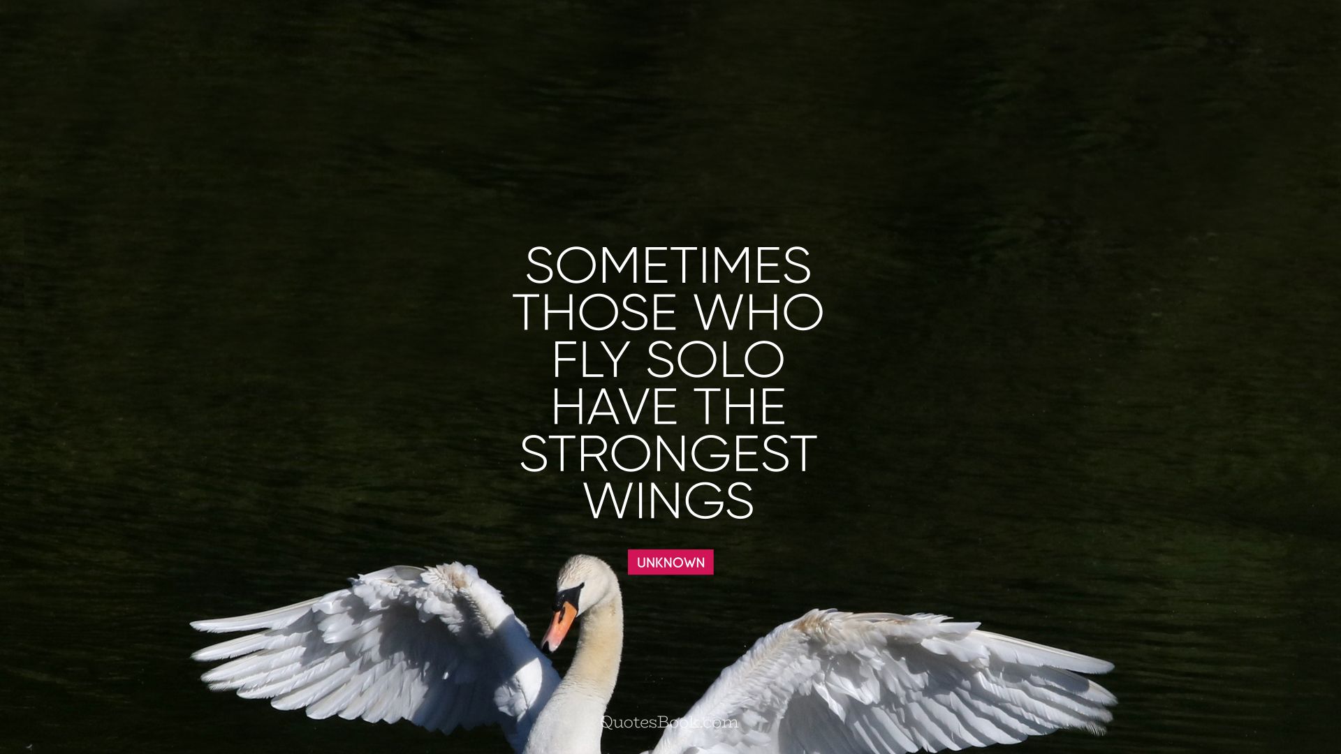 Sometimes those who fly solo have the strongest wings