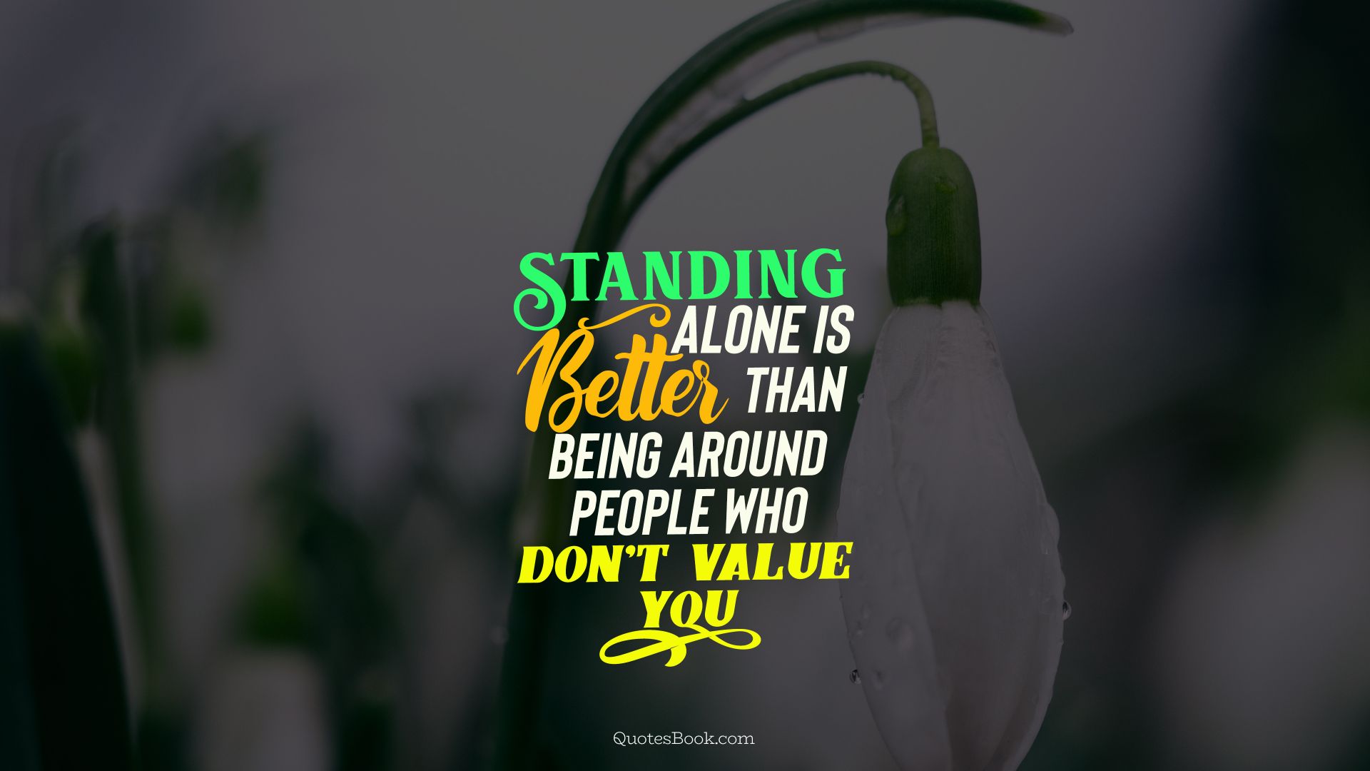  Standing alone is better than being around people who don't value you