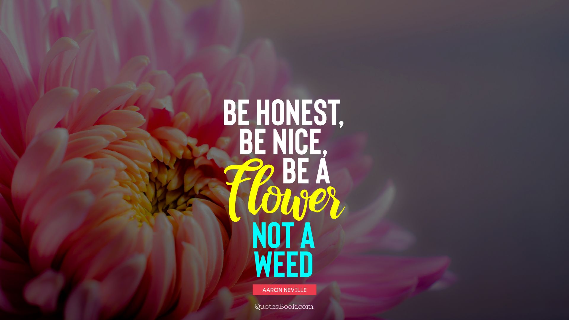 Be honest, be nice, be a flower not a weed. - Quote by Aaron Neville