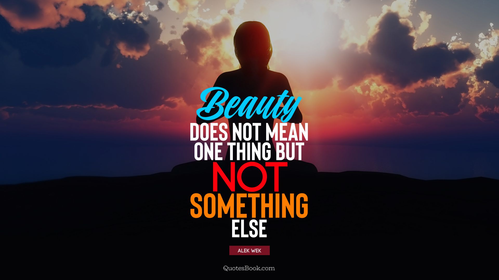 Beauty does not mean one thing but not something else. - Quote by Alek Wek