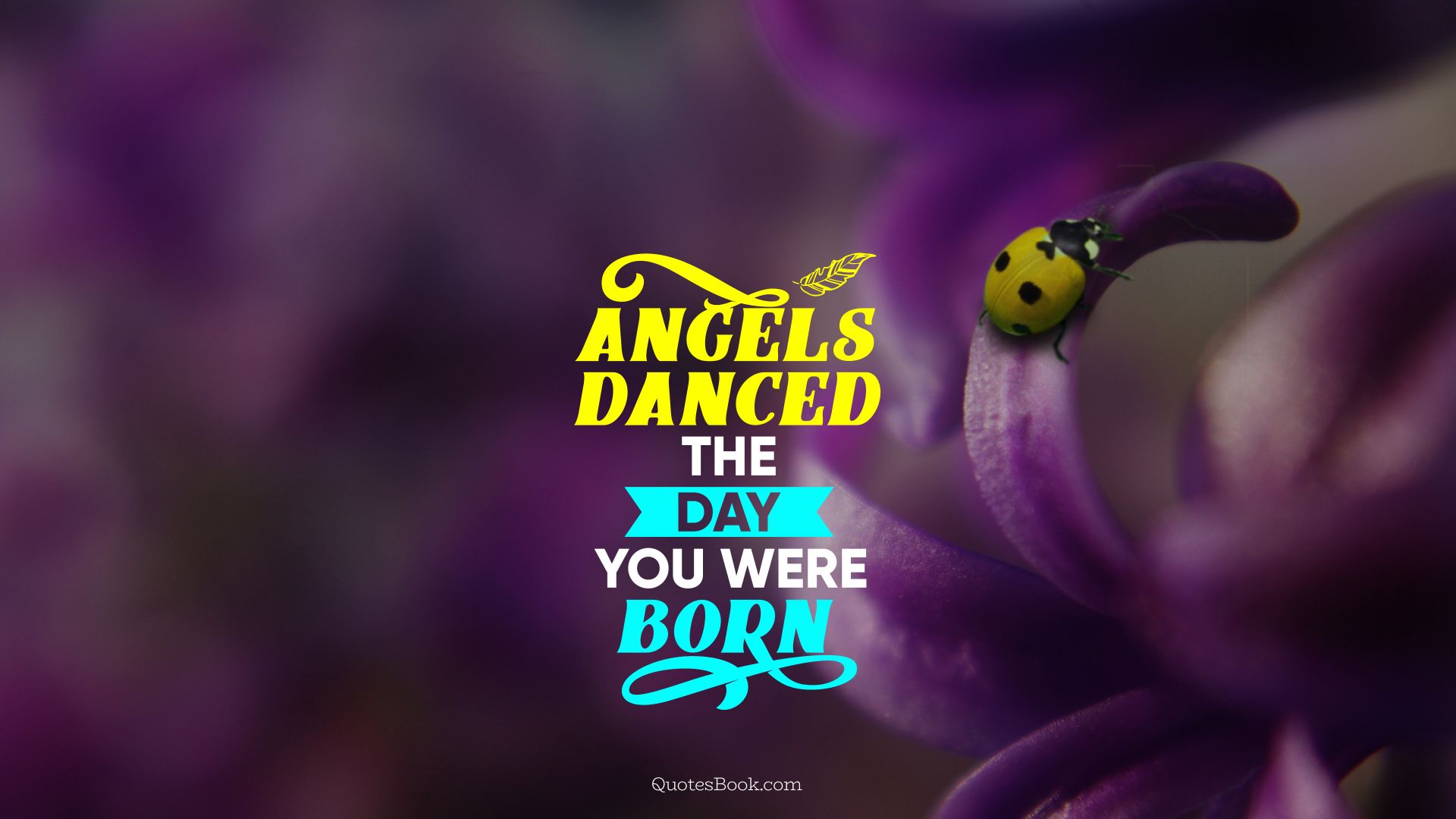 Angels danced the day you were born