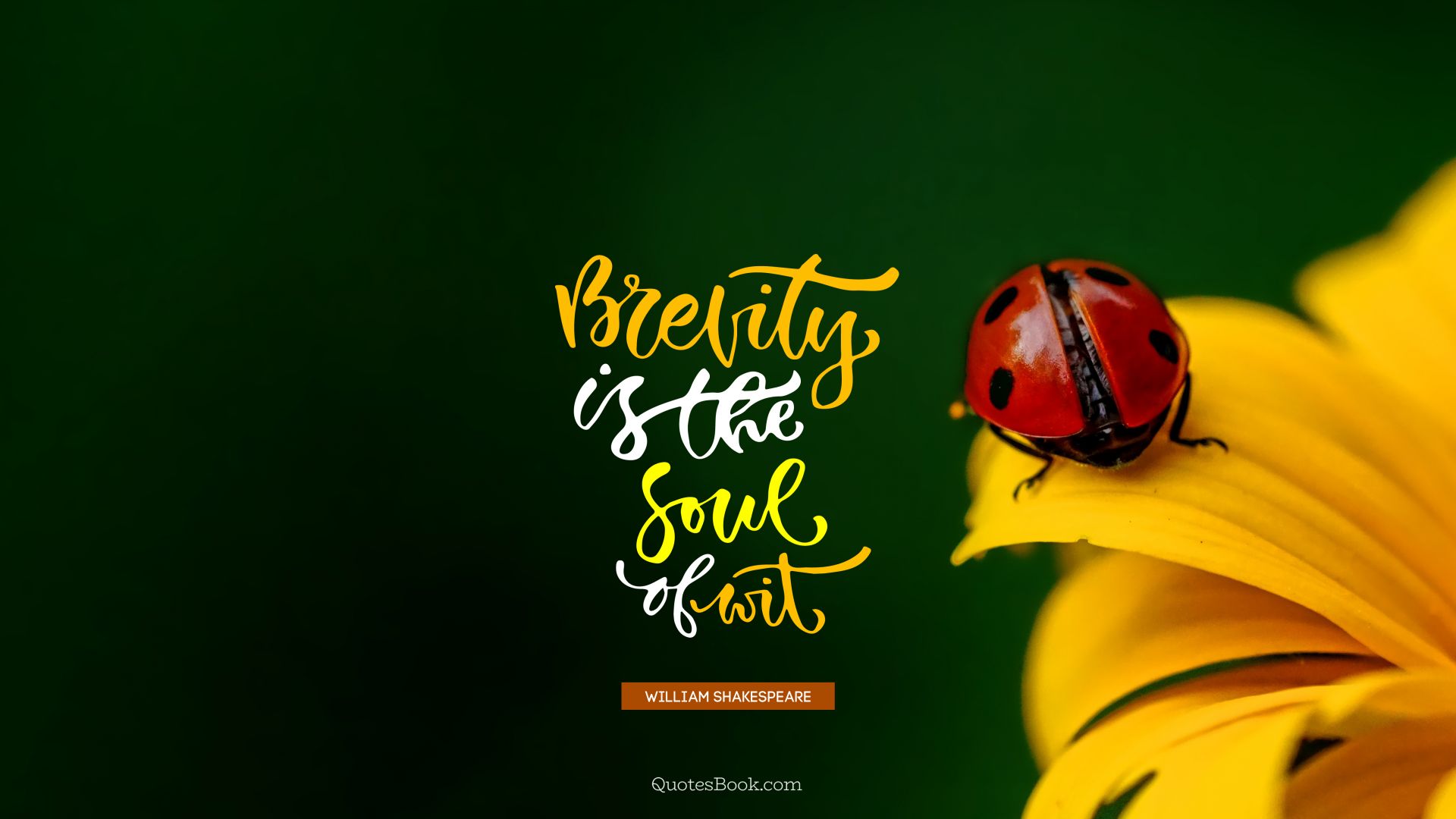 Brevity is the soul of wit. - Quote by William Shakespeare