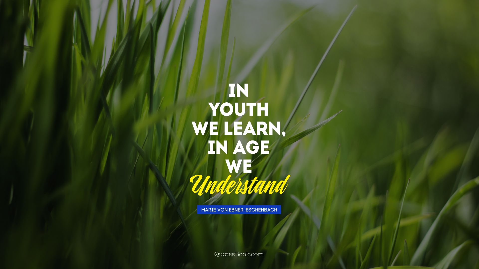 In youth we learn, in age we understand. - Quote by Marie von Ebner-Eschenbach