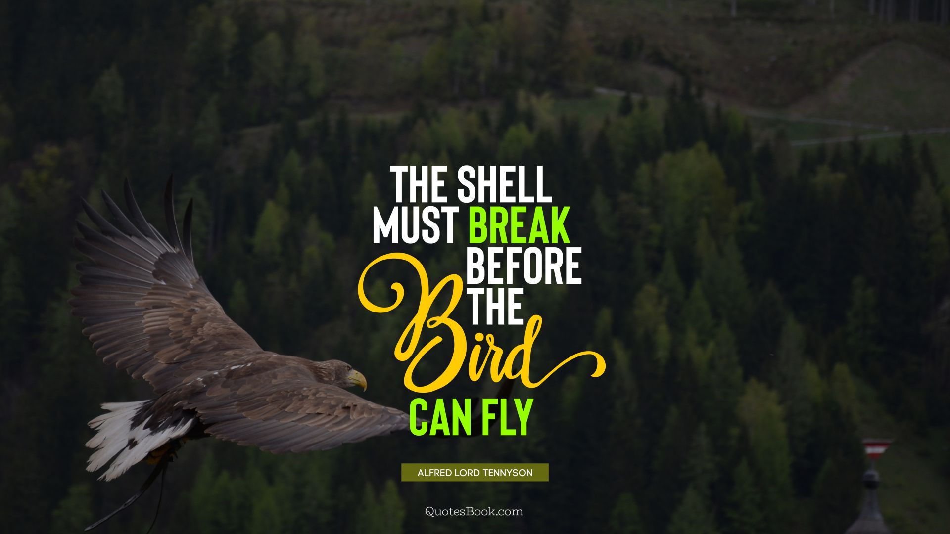 The shell must break before the bird can fly. - Quote by Alfred Lord Tennyson
