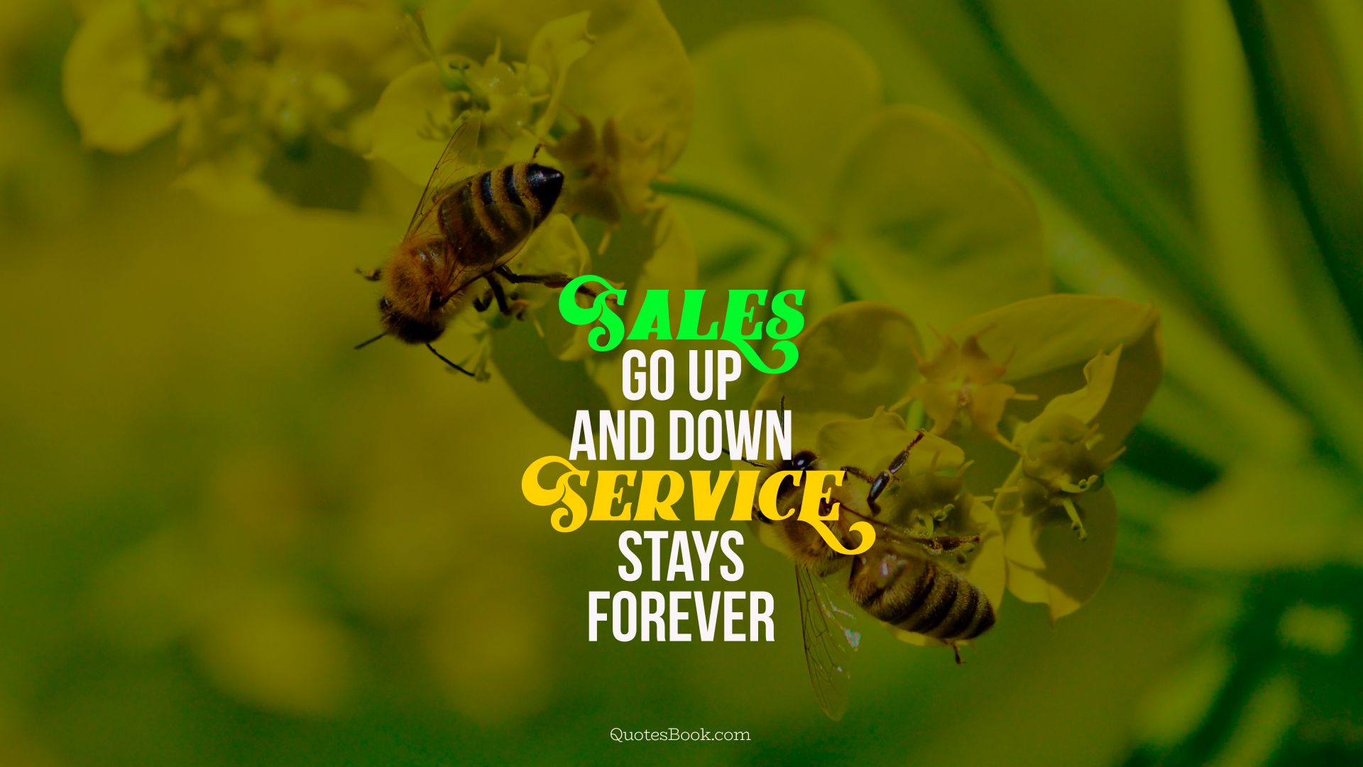Sales go up and down service stays forever