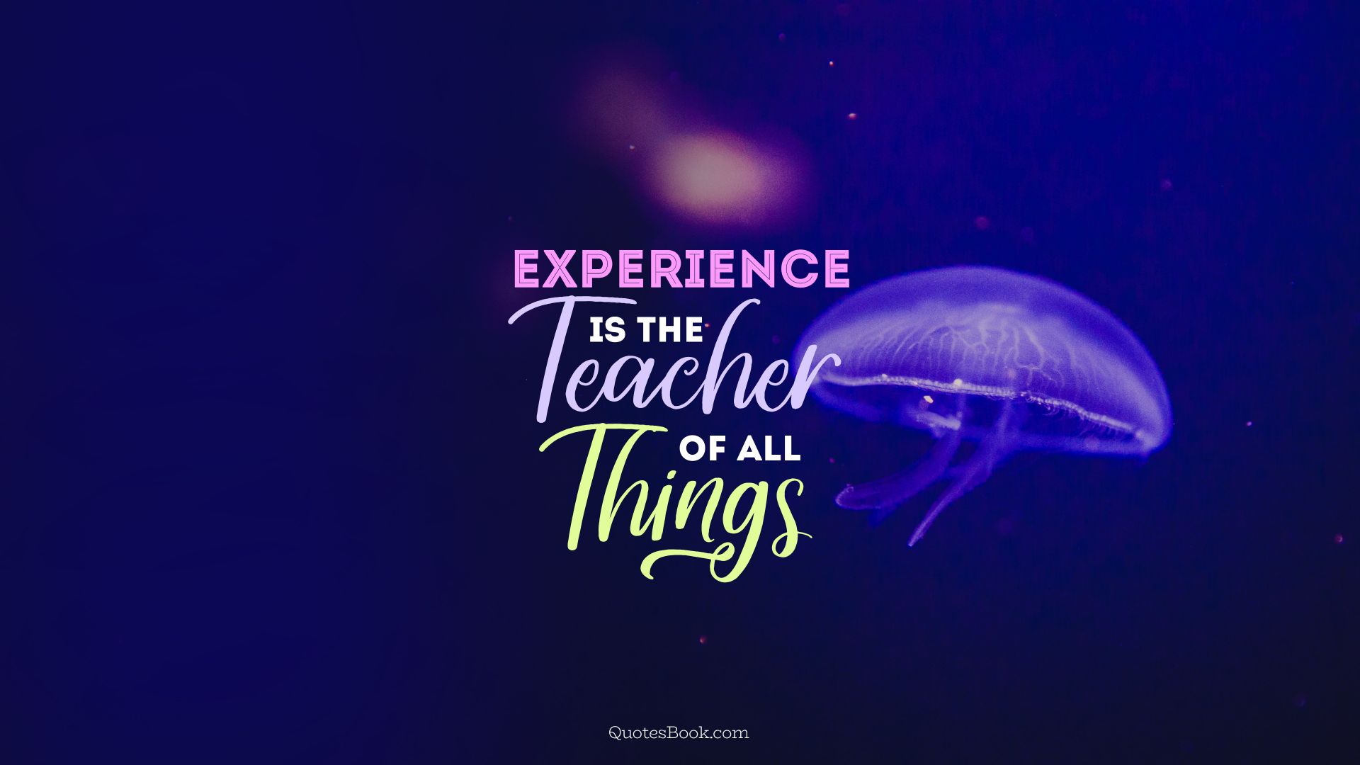 Experience is the teacher of all things