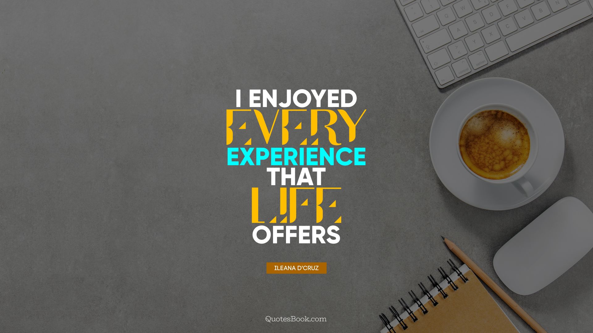 I enjoyed every experience that life offers. - Quote by Ileana D'Cruz