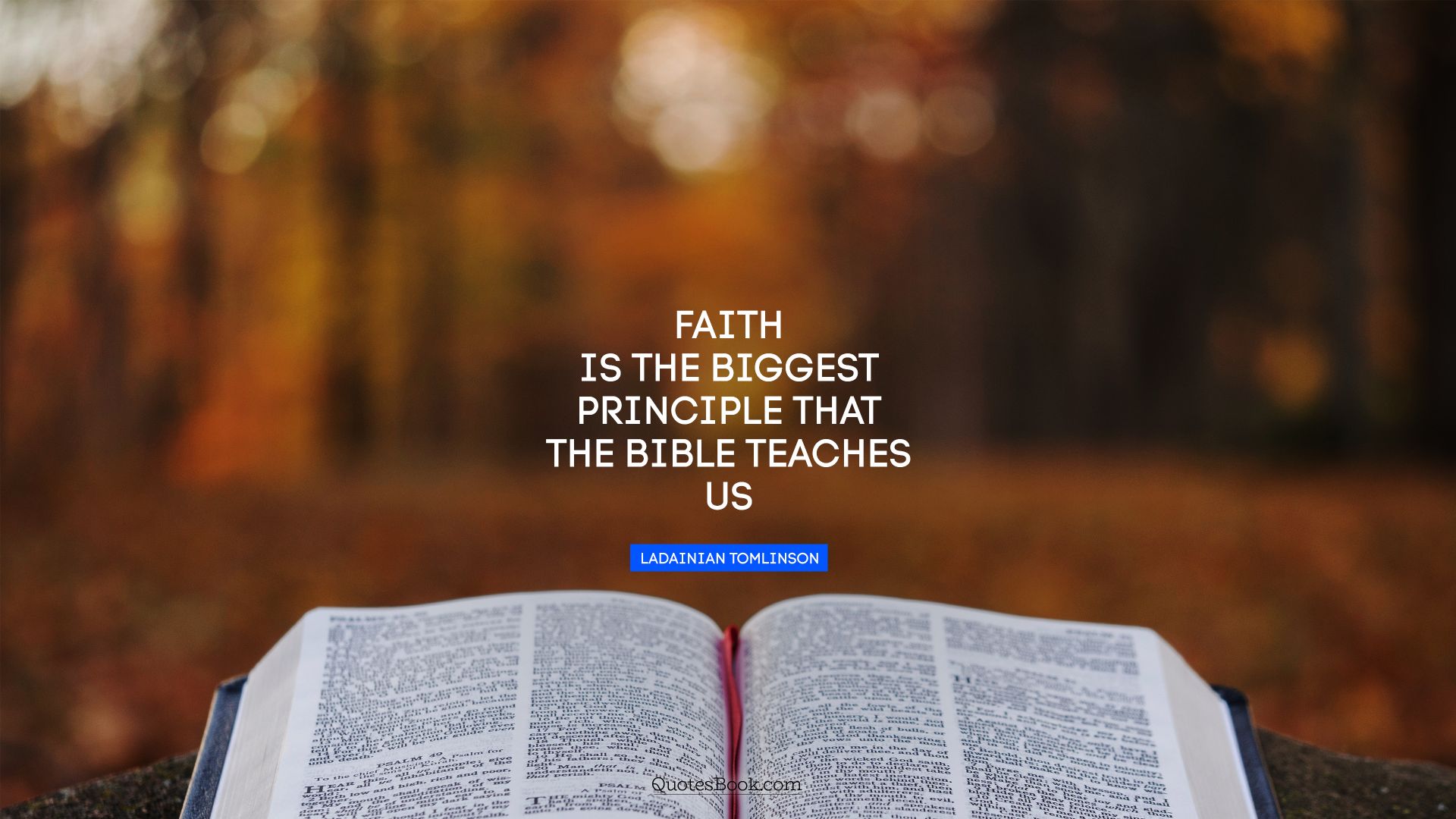 Faith is the biggest principle that the Bible teaches us. - Quote by LaDainian Tomlinson