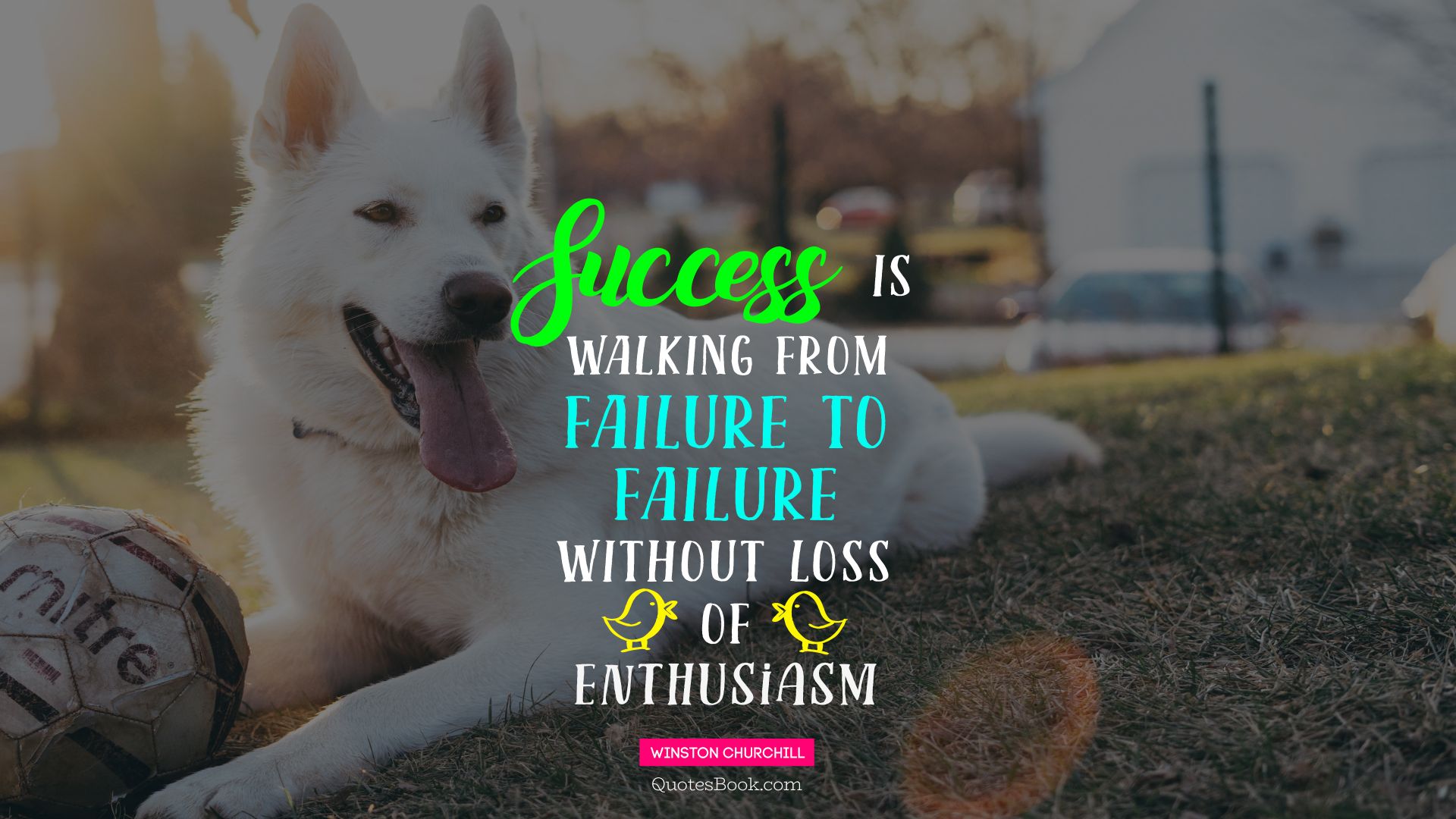 Success is walking from failure to failure without loss of enthusiasm. - Quote by Winston Churchill