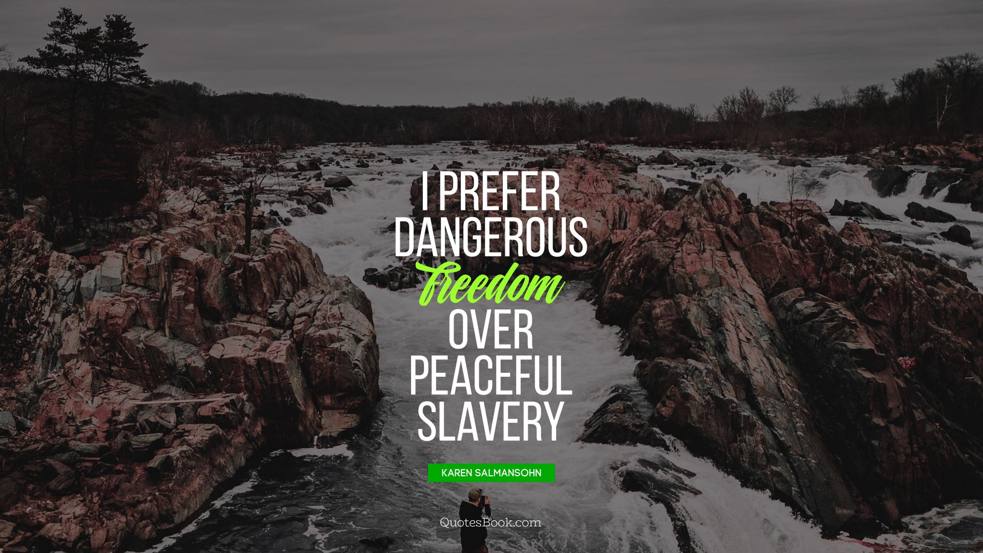I prefer dangerous freedom over peaceful slavery
