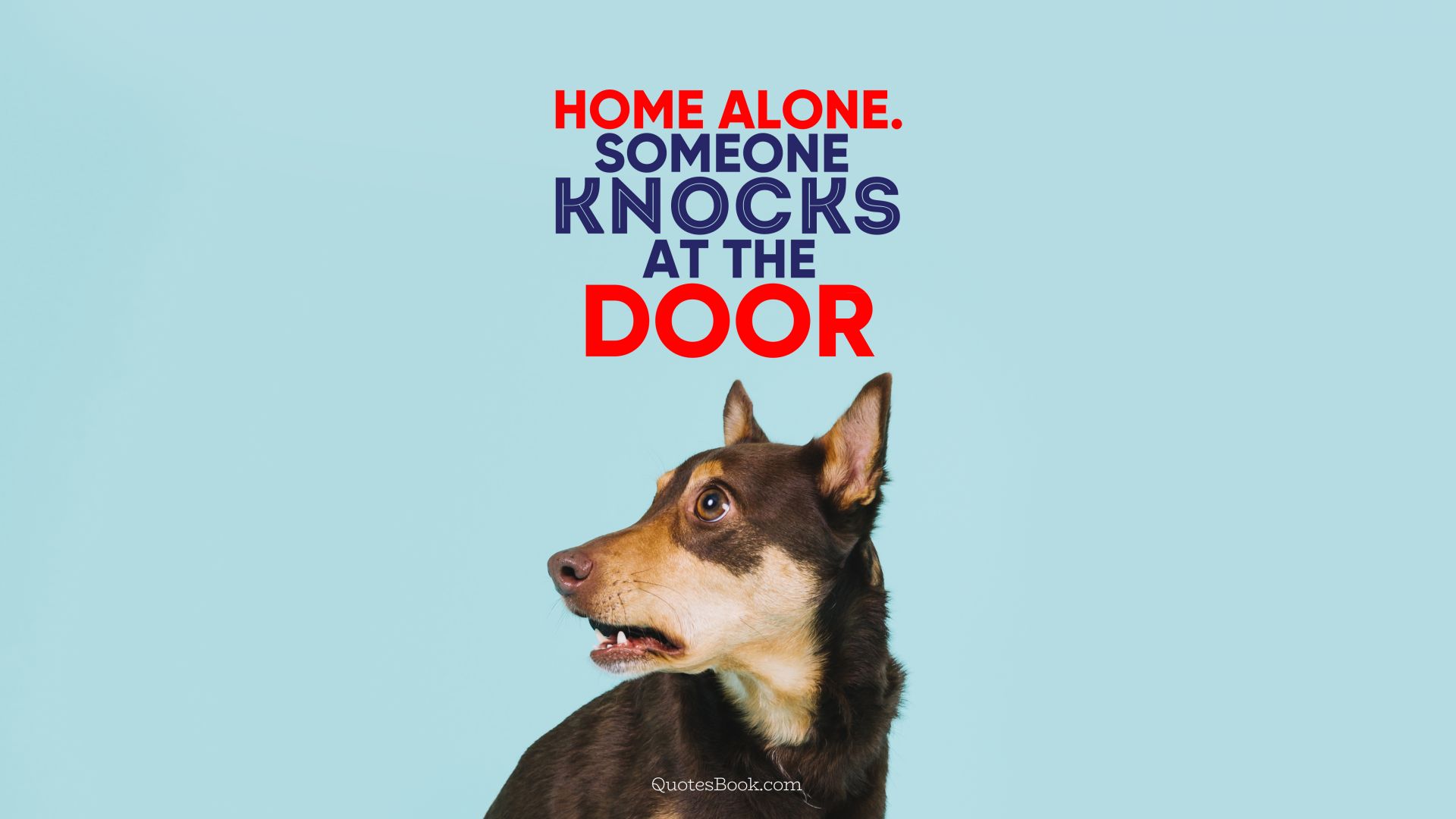 Home alone. Someone knocks at the door