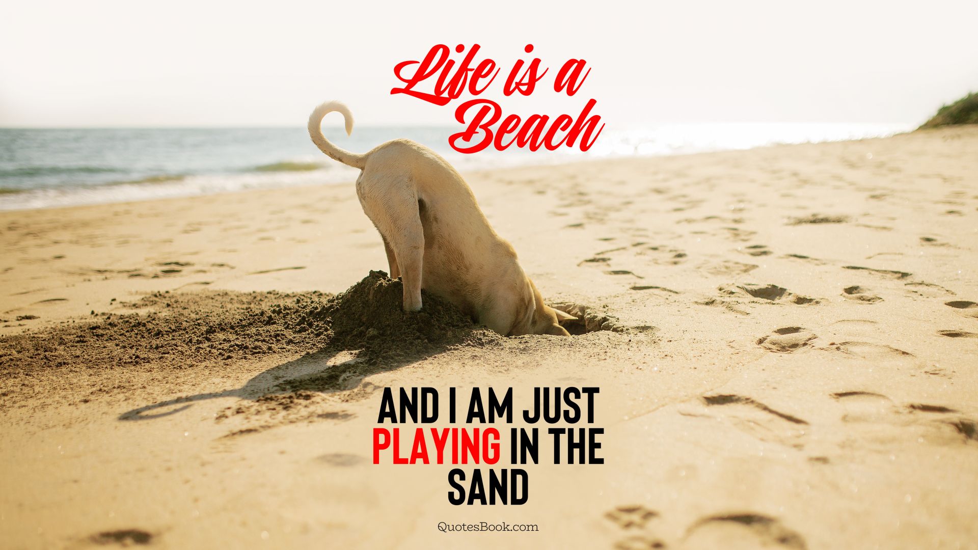 Life is a beach and I am just playing in the sand