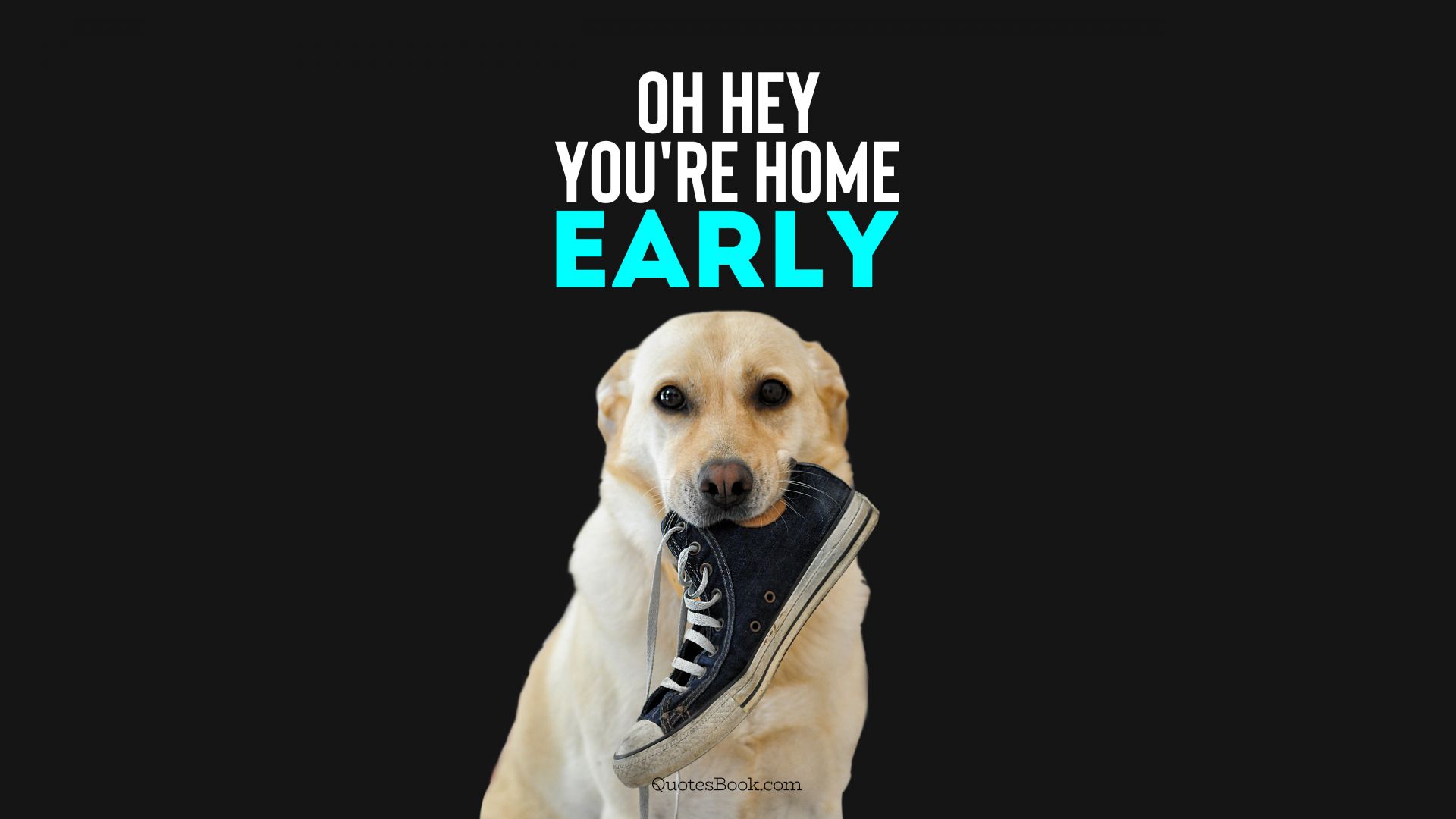 Oh hey you're home early