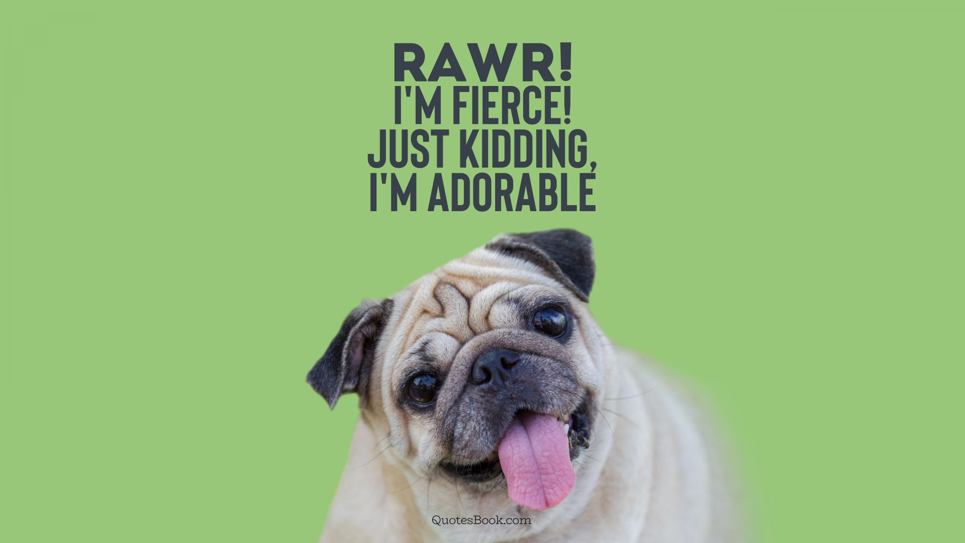 Rawr! I'm fierce! Just kidding, I'm adorable