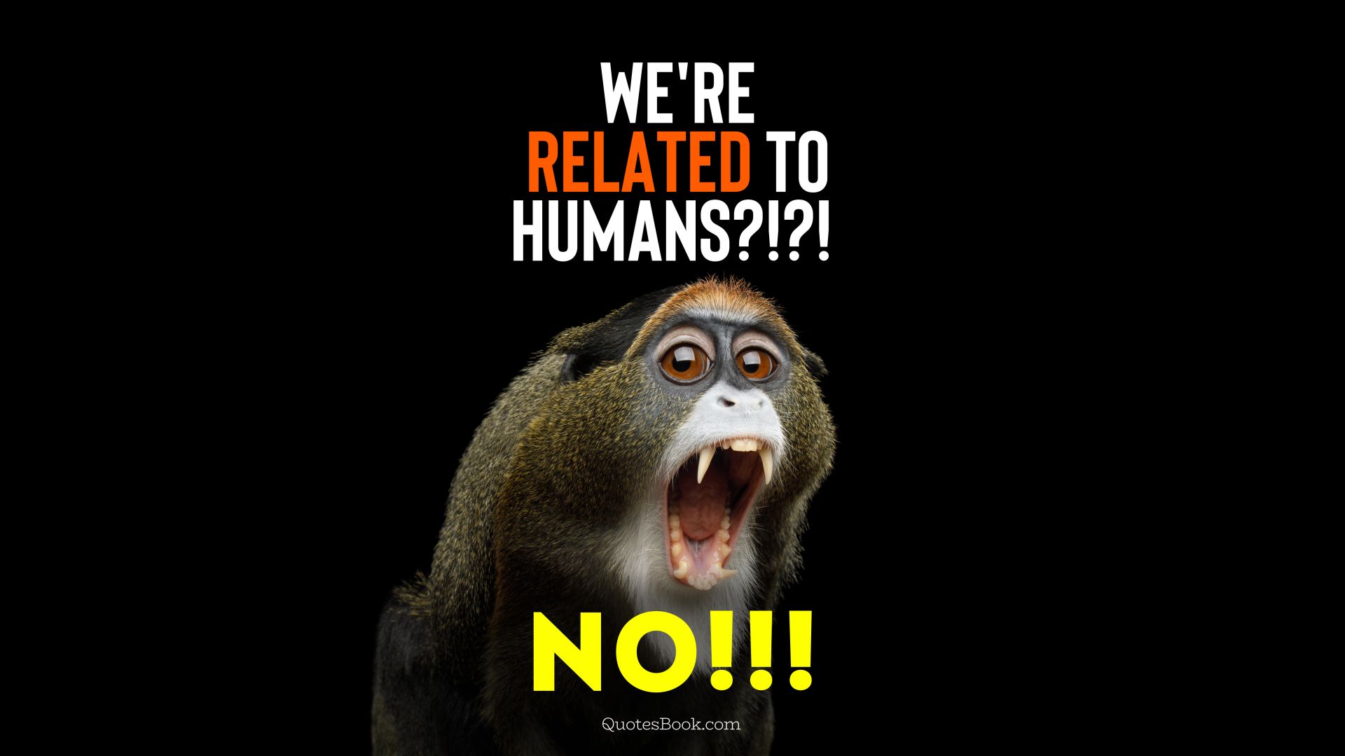 We're related to humans?!?! No!!!
