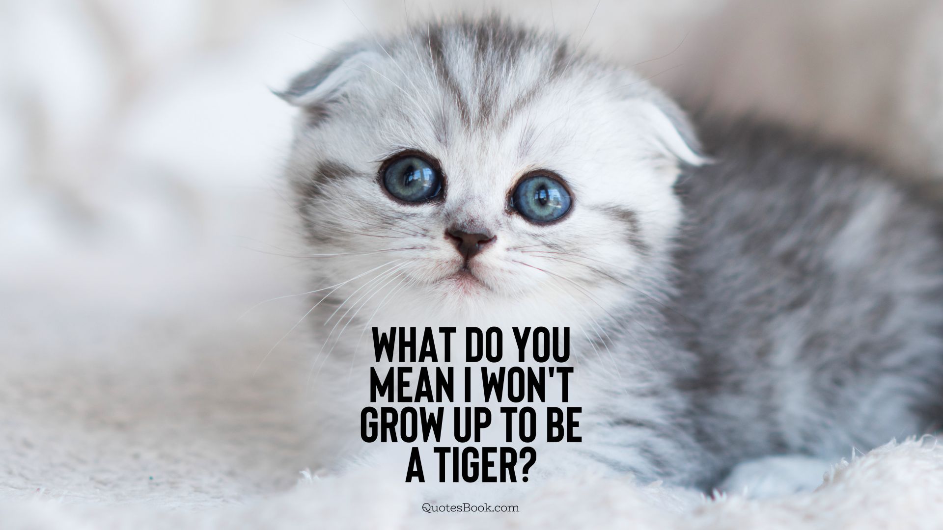 What do you mean I won't grow up to be a tiger?