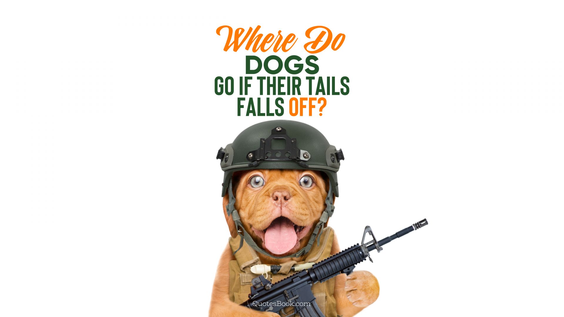 Where do dogs go if their tails falls off?