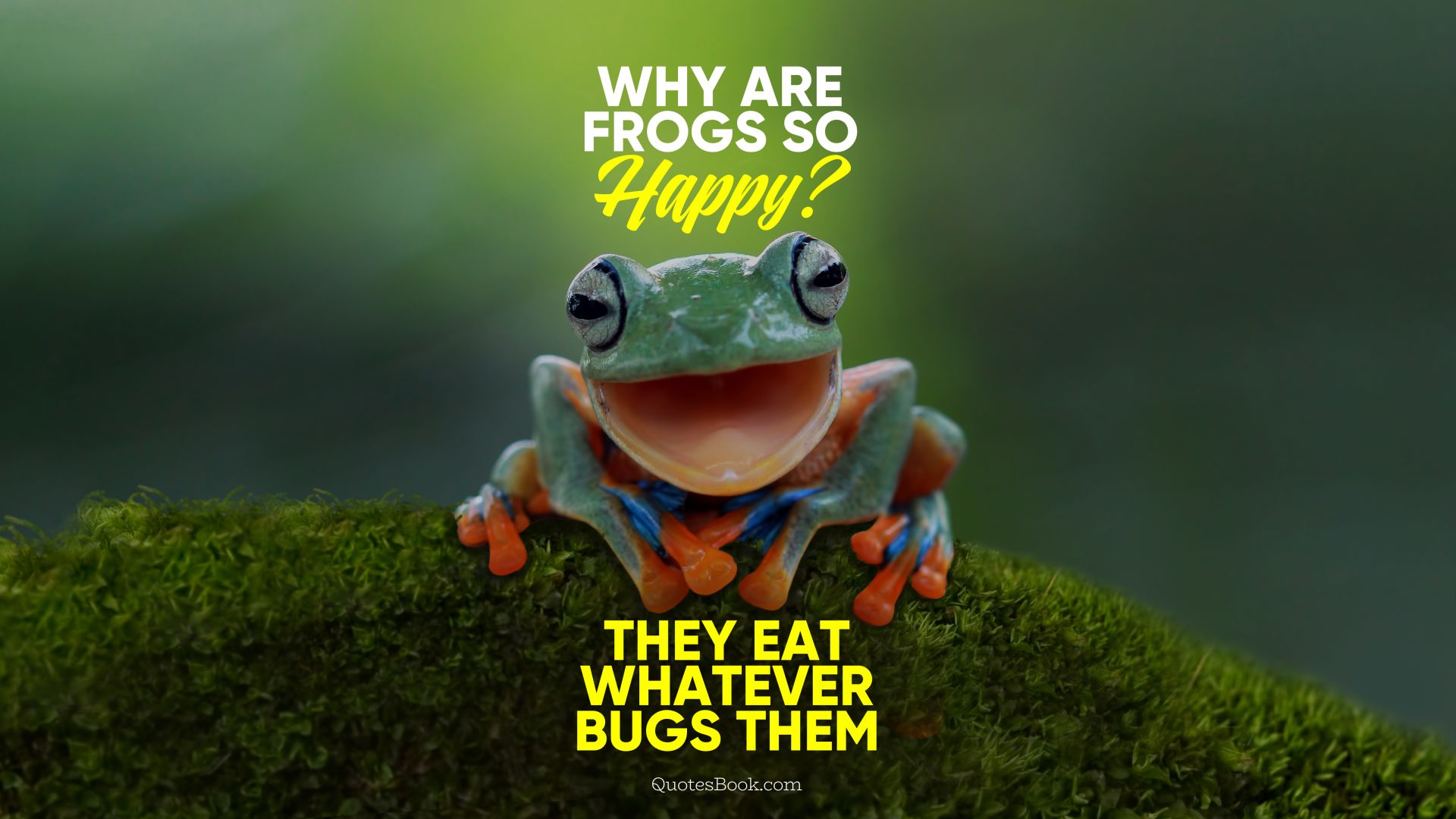 Why are frogs so happy? They eat whatever bugs them