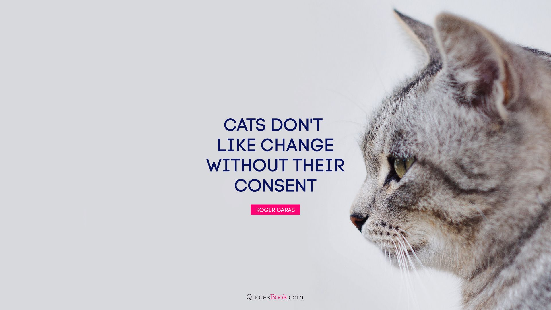 Cats don't like change without their consent. - Quote by Roger Caras