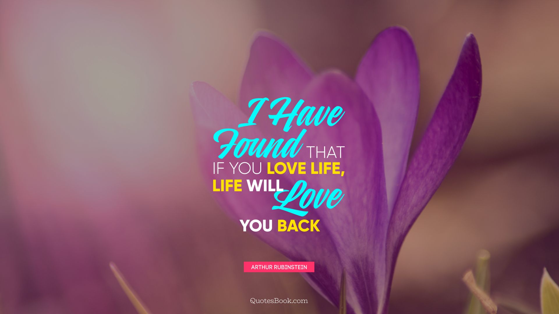 I have found that if you love life, life will love you back. - Quote by Arthur Rubinstein