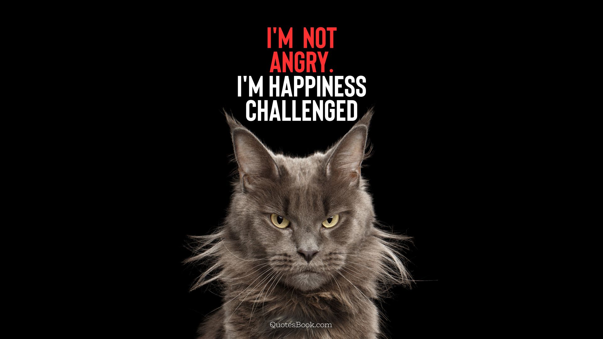 I'm not angry. I'm happiness challenged