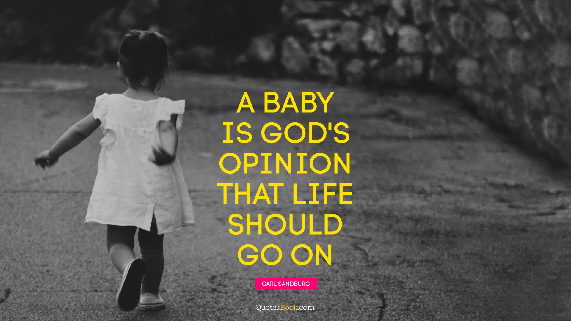 A baby is God's opinion that life should go on. - Quote by Carl Sandburg