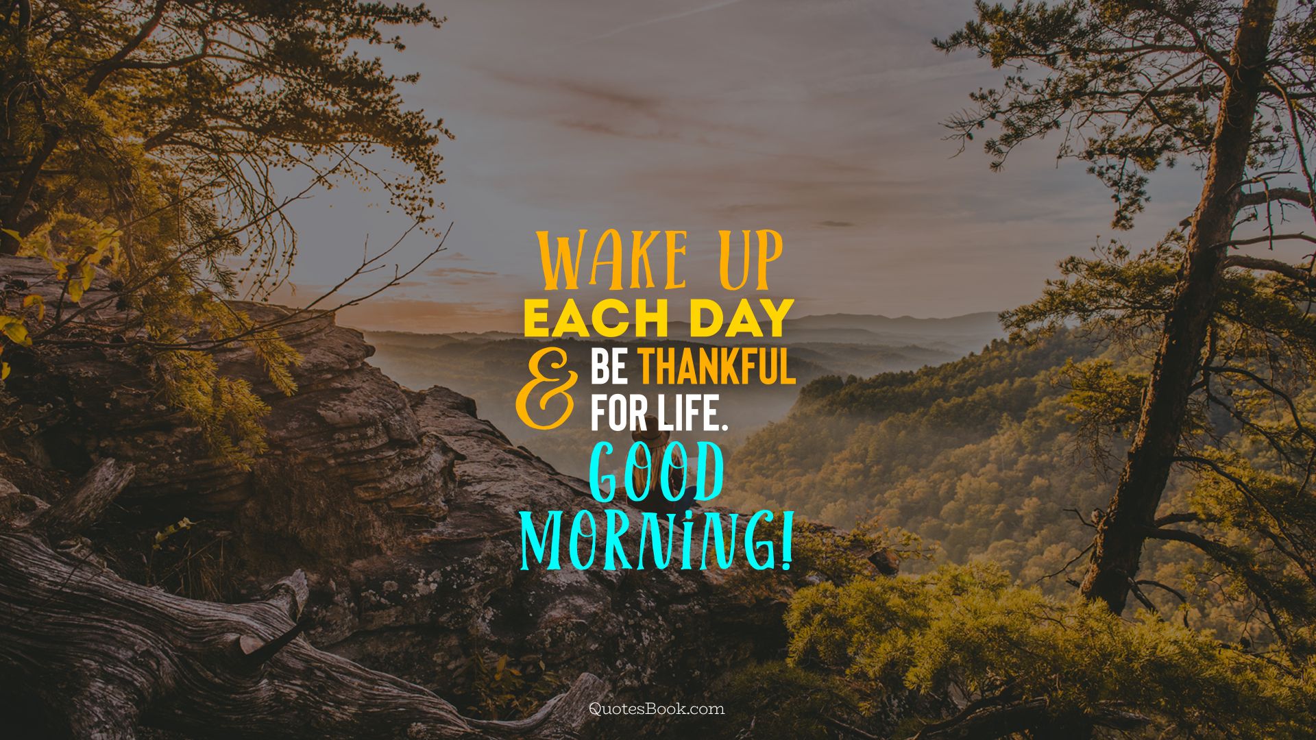 Wake up each day and be thankful for life. Good morning!