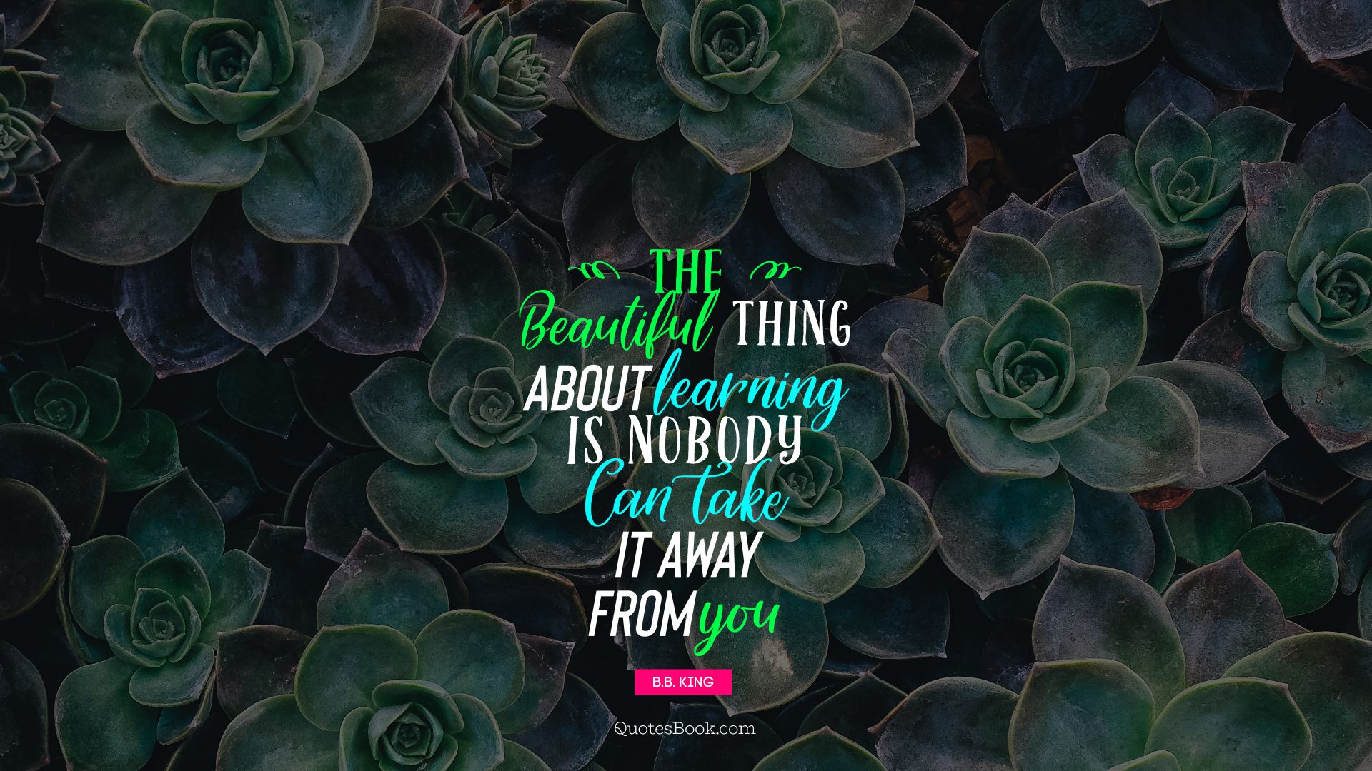 The beautiful thing about learning is nobody can take it away from you. - Quote by B.B. King 