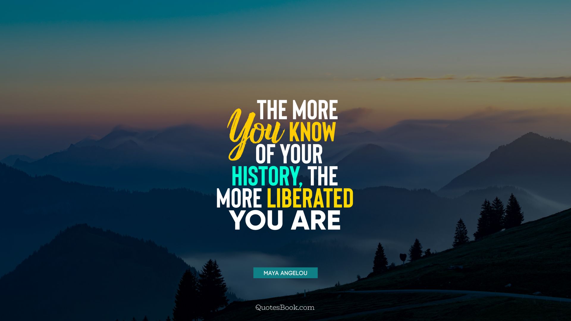The more you know of your history, the more liberated you are. - Quote by Maya Angelou