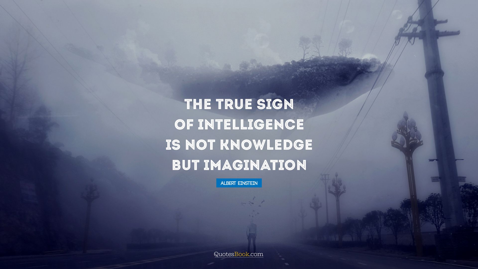 The true sign of intelligence is not knowledge but imagination. - Quote by Albert Einstein