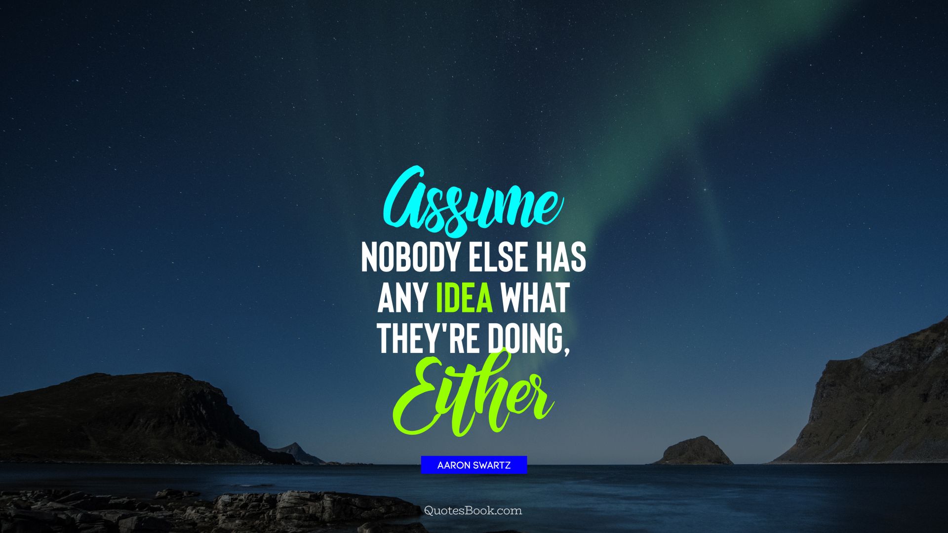 Assume nobody else has any idea what they're doing, either. - Quote by Aaron Swartz