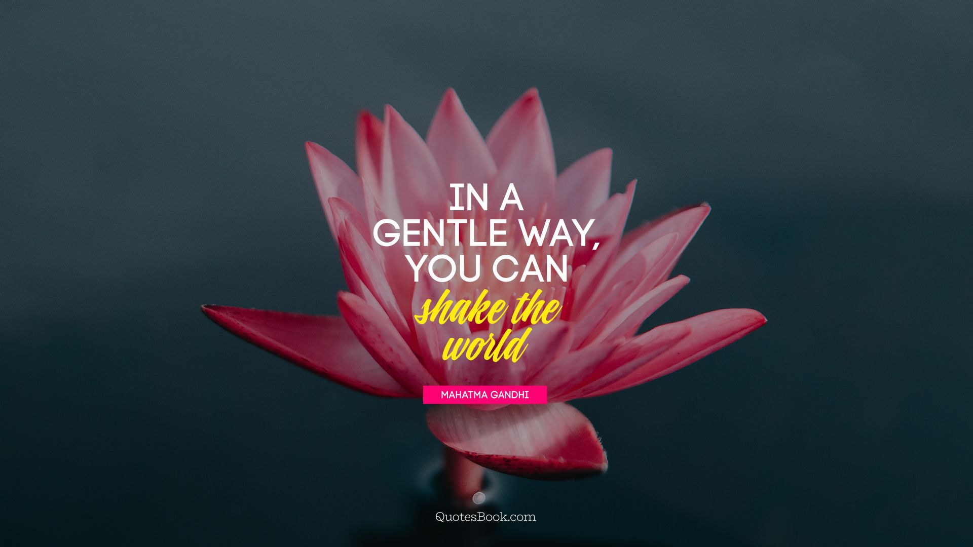 In a gentle way, you can shake the 
world. - Quote by Mahatma Gandhi