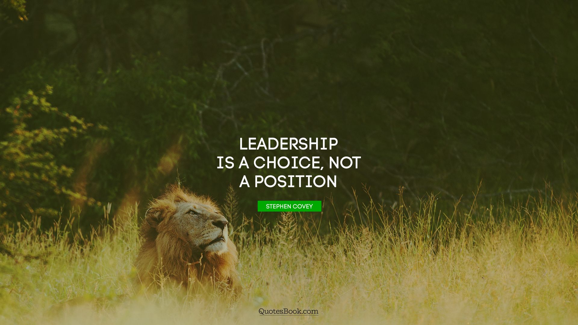 Leadership is a choice, not a position. - Quote by Stephen Covey