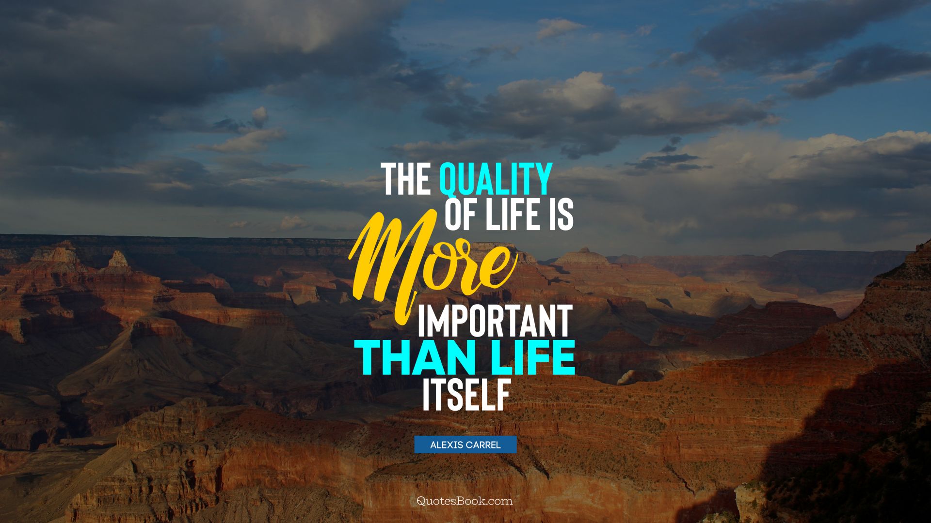 The quality of life is more important than life itself. - Quote by Alexis Carrel